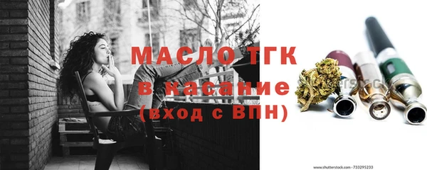индика Новокубанск