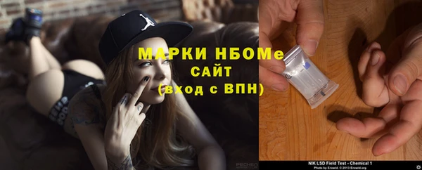 индика Нефтекумск