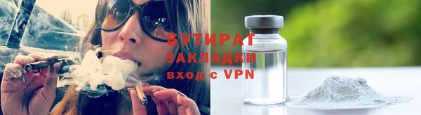 шишки Новозыбков