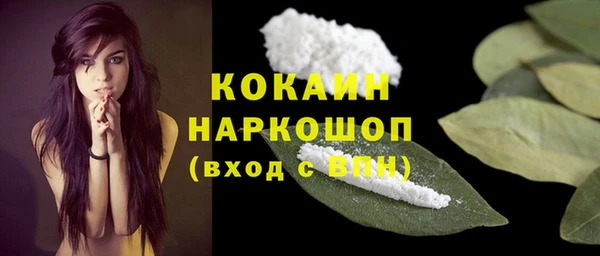 индика Нефтекумск