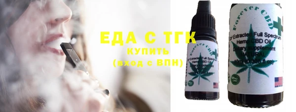индика Новокубанск