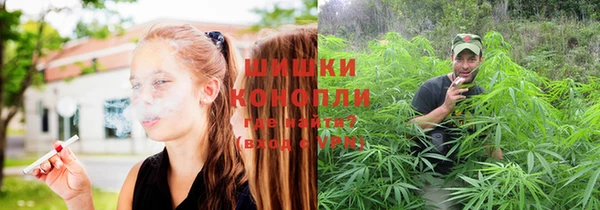 прущая мука Новодвинск