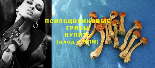 индика Нефтекумск
