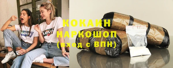 индика Новокубанск