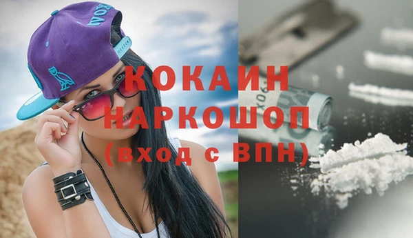 индика Нефтекумск