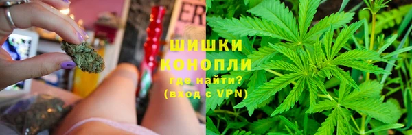 индика Нефтекумск