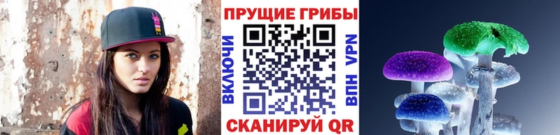Псилоцибиновые грибы Psilocybe  Купить закладки  Киселёвск 